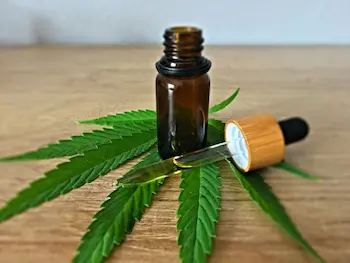 How to cure cannabis guide