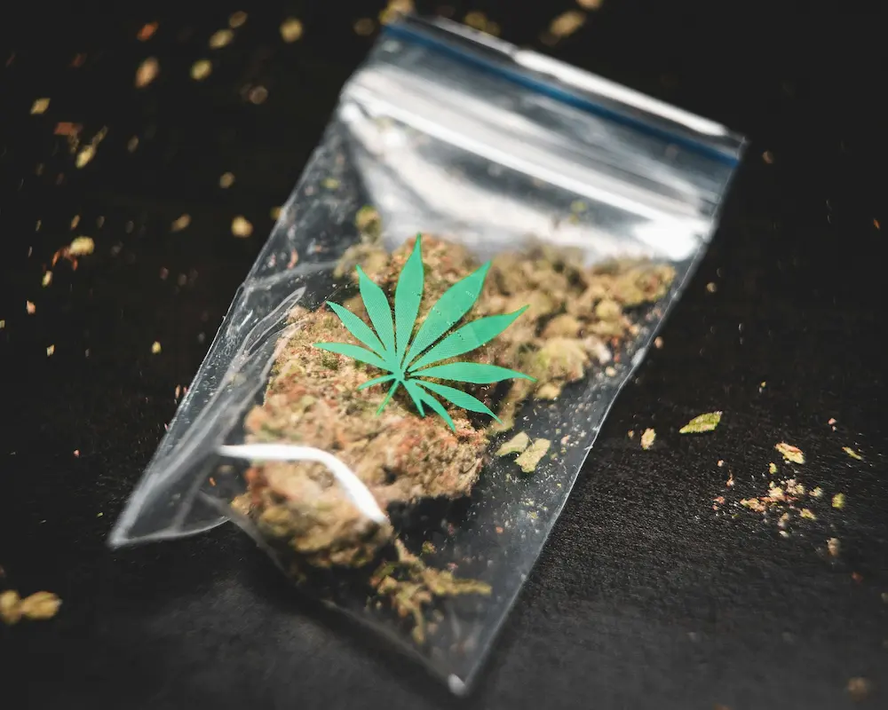 what is cbd hero image
