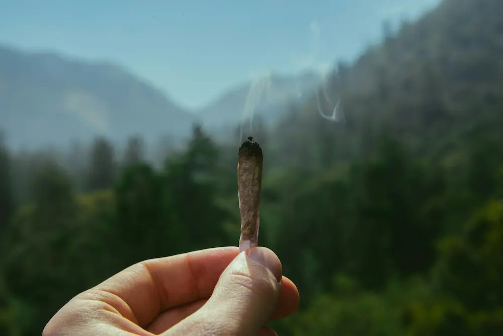 holding a joint in the air