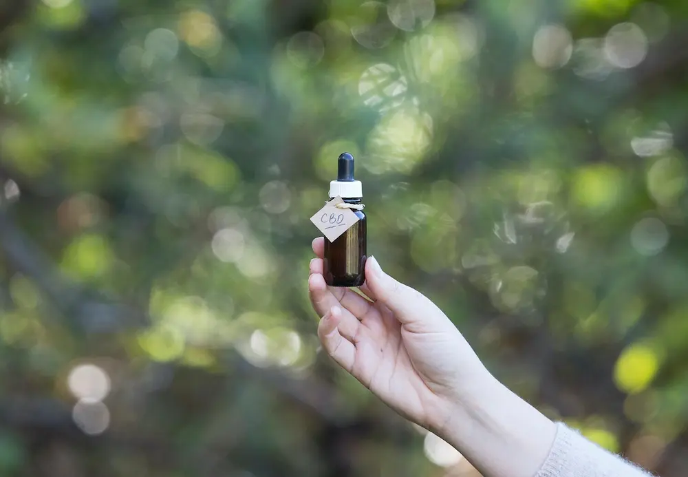what is cbd infographic