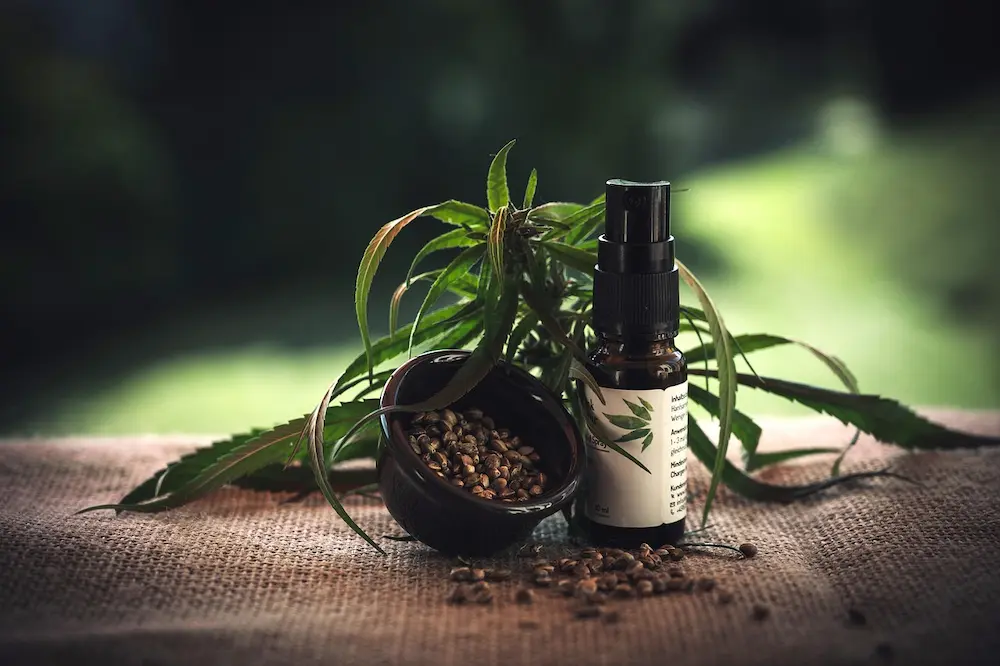 what is cbd infographic