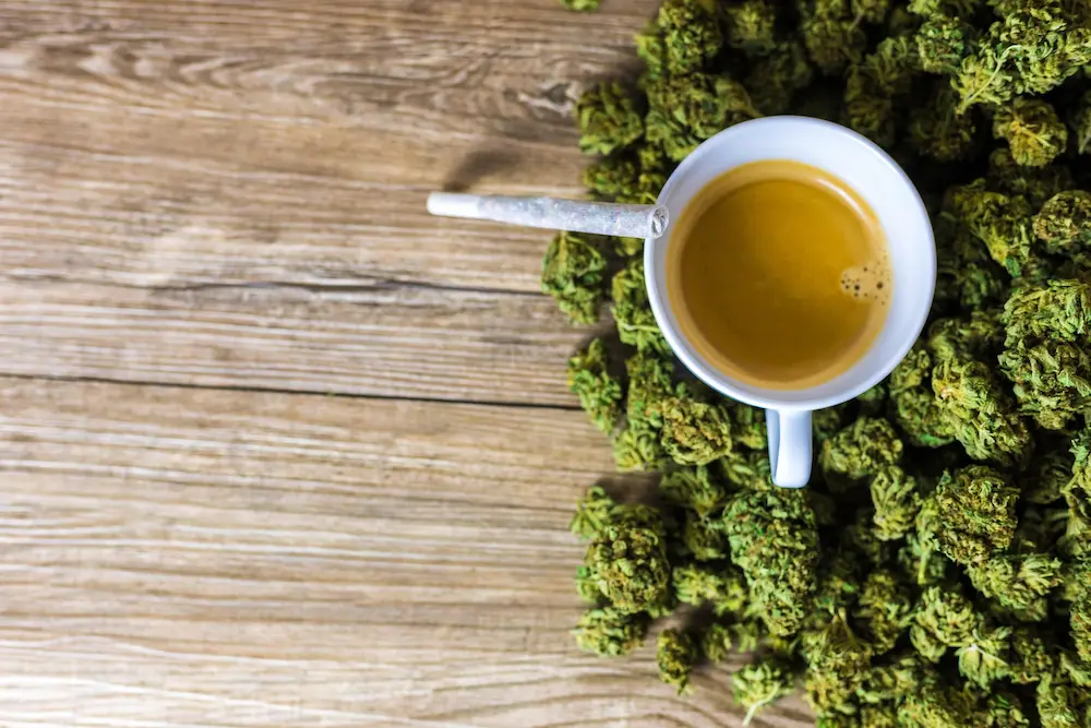 what is cbd hero image