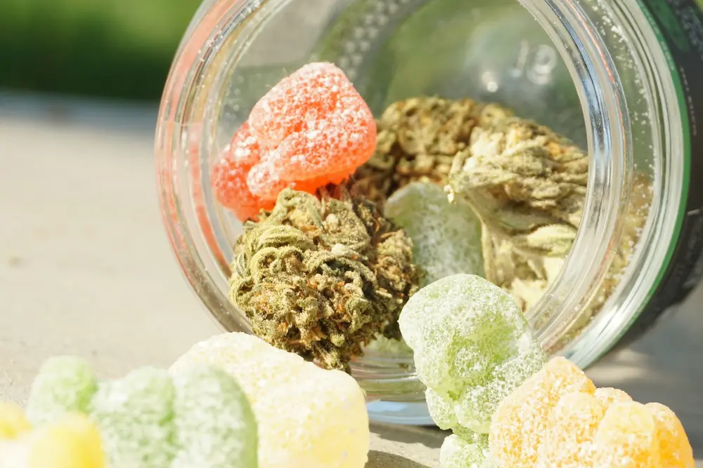 what is cbd infographic